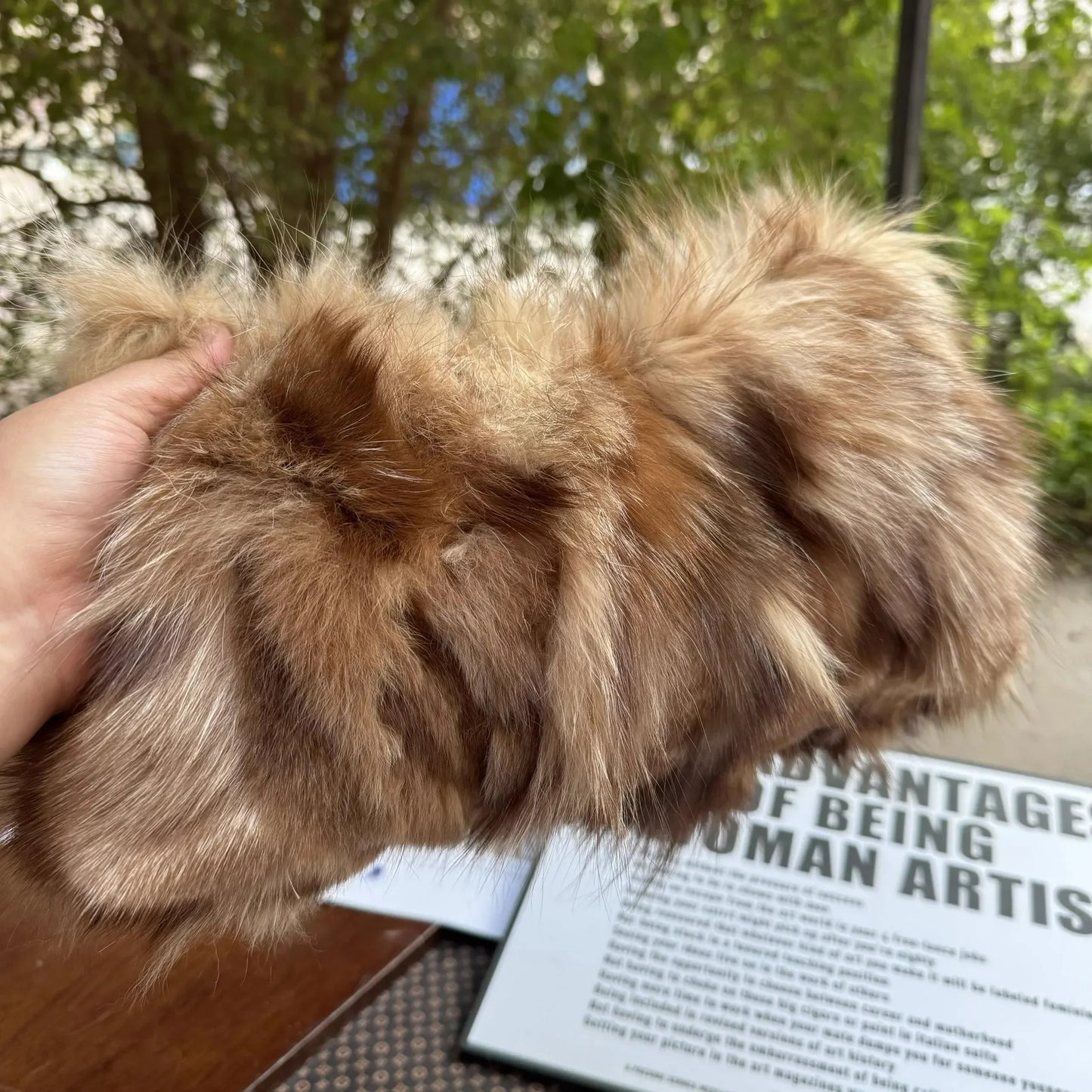 eybag - NEW Real Fox Fur Woman Ladies Crossbody Bags Designer Luxury Handbags Women Handbag Shoulder Bag Fuzzy Fluffy Tote Bag
